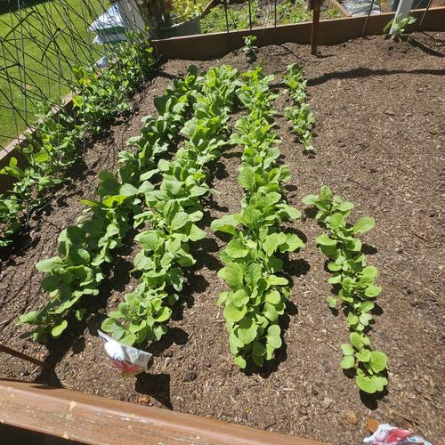 Photo of Brenda Cox's Child Care - West Linn, OR