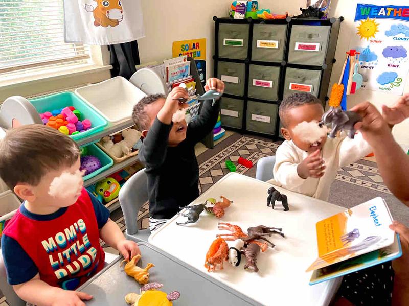 Photo of Little Hands Big Hearts - Seatlle, WA