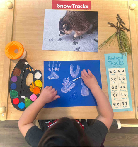 Photo of Safari Scholars Academy Llc Daycare - Egg Harbor Township, NJ