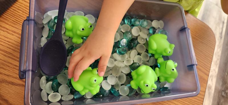 Photo of Roxannie Treehouse Daycare - Winchester, CA