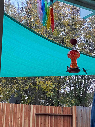 Photo of Monkey Business Daycare - Sacramento, CA