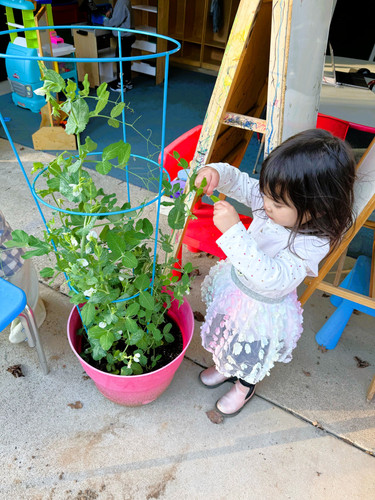 Photo of Learn Out Loud Preschool & Childcare, LLC - Orangevale, CA