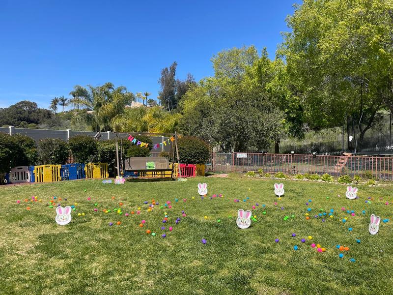 Photo of Little Bright Steps Inc - Poway, CA