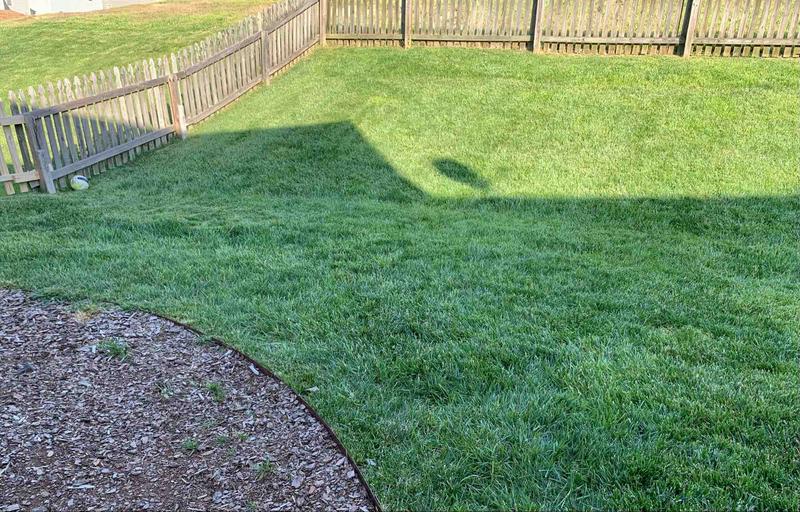 Photo of Sunny Kids Academy Daycare - Charlotte, NC