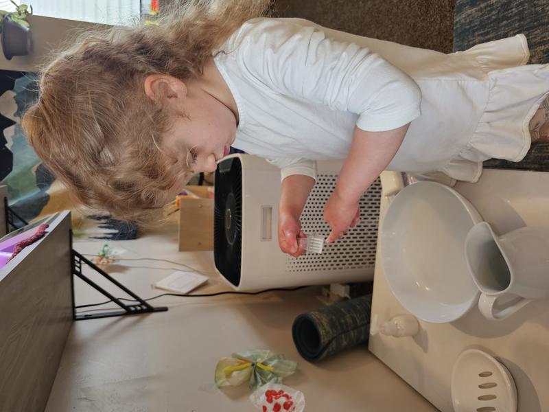 Photo of Stepping Stones In Kamas - Kamas, UT