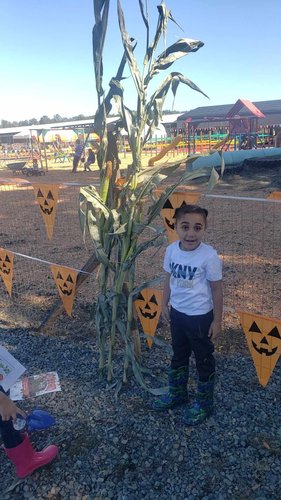 Photo of Mommies Creationz Daycare - Puyallup, WA