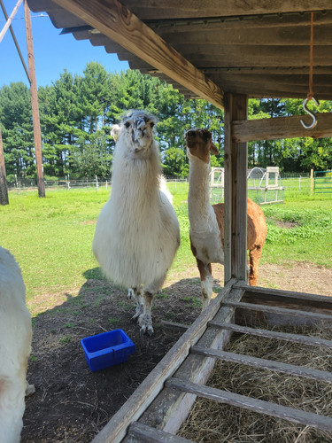 Photo of Ruth S. - Mequon, WI