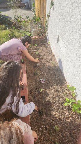 Photo of Mervat Albatra Family Childcare Daycare - El Cajon, CA