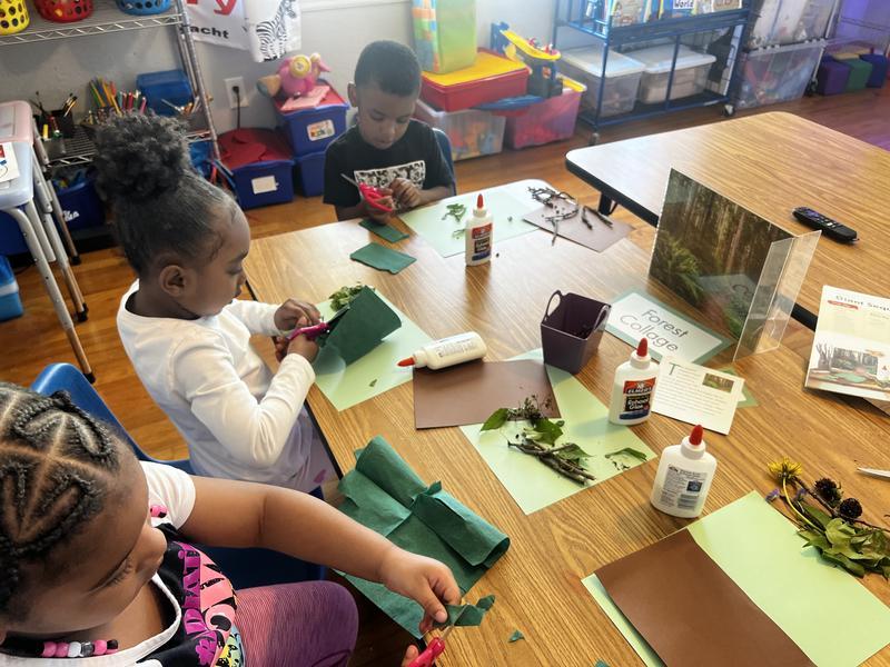 Photo of Shecaresdaycare Llc - Kansas City, MO