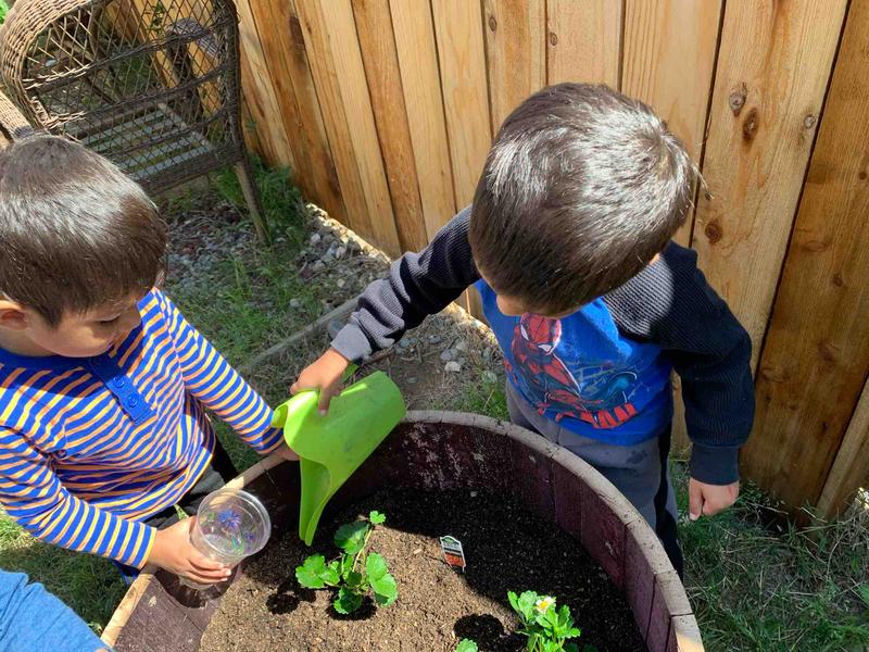 Photo of Little Explorers Daycare - Yuba City, CA