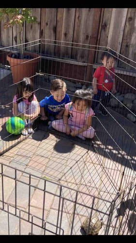 Photo of Lillian Barrera's Day Care Daycare - Fremont, CA