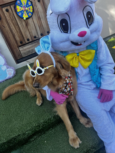 Photo of Villalba Fcc Aka Lots Of Love Daycare - Santa Barbara, CA