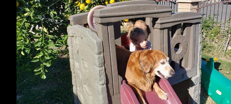Photo of The Wild Ones: A Small Home Daycare - Alta Loma, CA