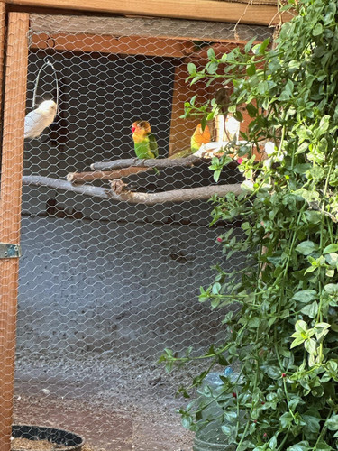 Photo of Rainforest Family Childcare - Santa Barbara, CA