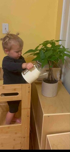 Photo of Kingdom Kiddos Child Care LLC - Brooklyn, NY