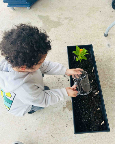 Photo of Learn N Play Bilingual Preschool - Round Rock, TX