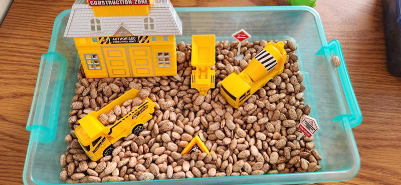 Photo of Roxannie Treehouse Daycare - Winchester, CA