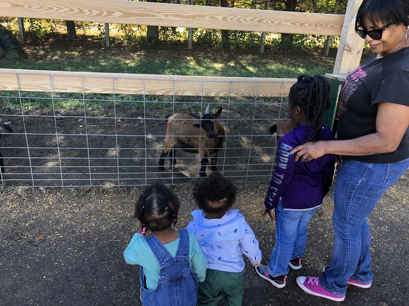 Photo of You + Me Daycare - Catonsville, MD