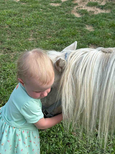 Photo of Little Wiggles Daycare - Elizabeth, CO