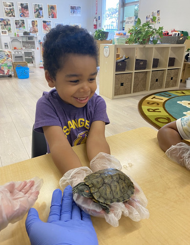 Photo of Kidz Korner Daycare - Santa Monica, CA