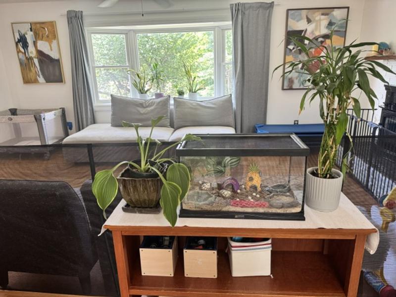 Photo of Nested Montessori Family Childcare - Trumbull, CT