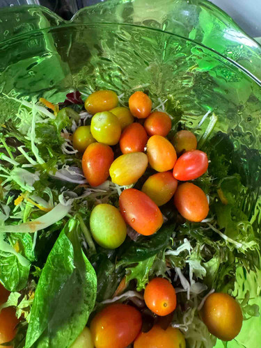 Photo of Heavens Door Abc Inc - Brooklyn, NY