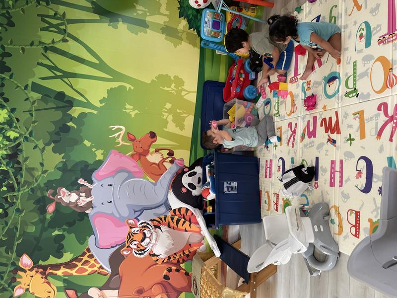 Photo of Almas Family Daycare - West Hills, CA