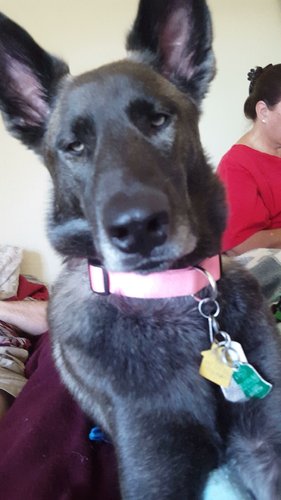 Photo of Athena Y. - Escondido, CA