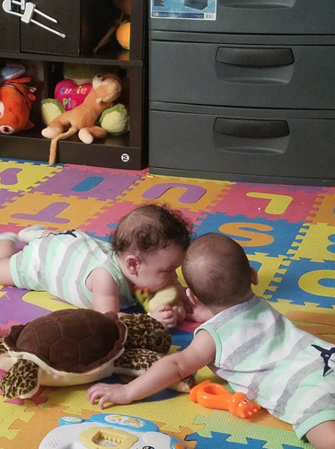 Photo of Mi Arcoiris Estrellita Daycare - Bronx, NY