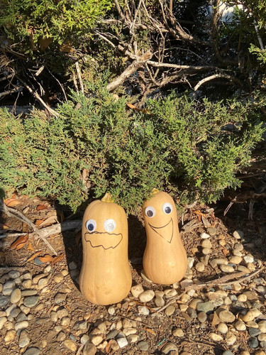 Photo of 白天鹅双语学习中心日托中心 - 库比蒂诺, CA