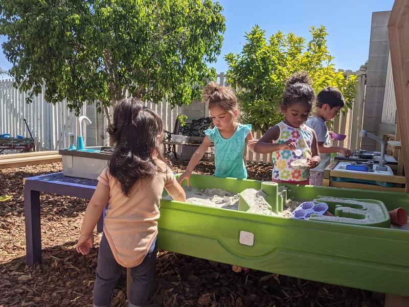 Photo of Cuddles Academy - San Diego, CA