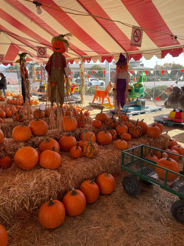 Photo of Nuestra Casita Family Childcare LLC - Los Angeles, CA